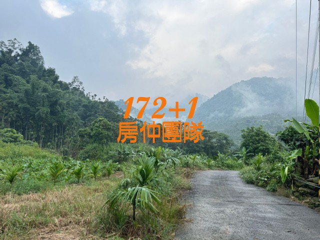 番路悠美景觀平房+建地照片12