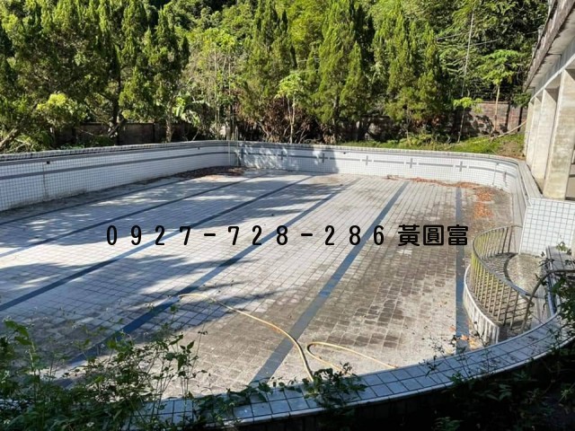 M228三峽總裁泳池別墅 照片8